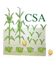 csa